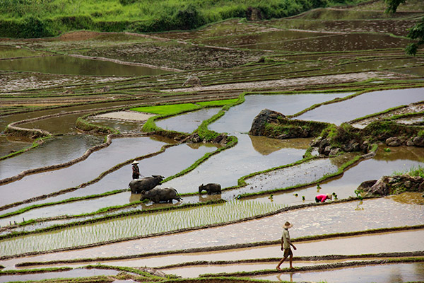 Day 2 Ban Kho Muong, Ban Hieu