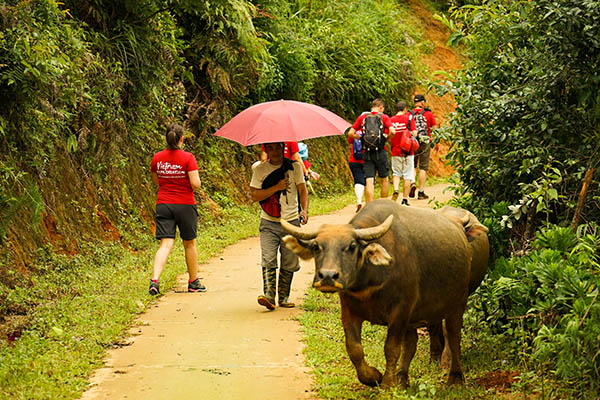 Randonnée aux alentours de Sapa - Nord Vietnam