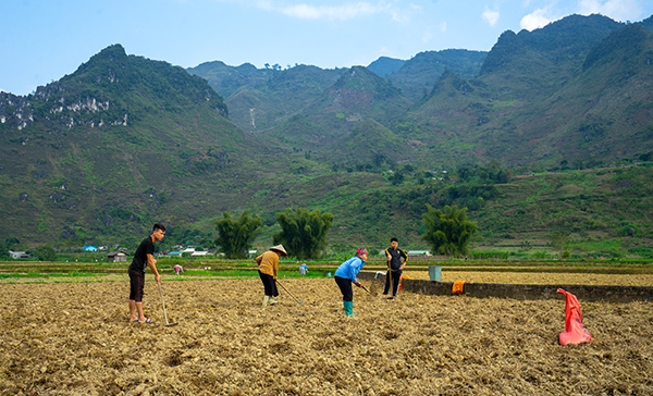 Quan Ba - Nord du Vietnam
